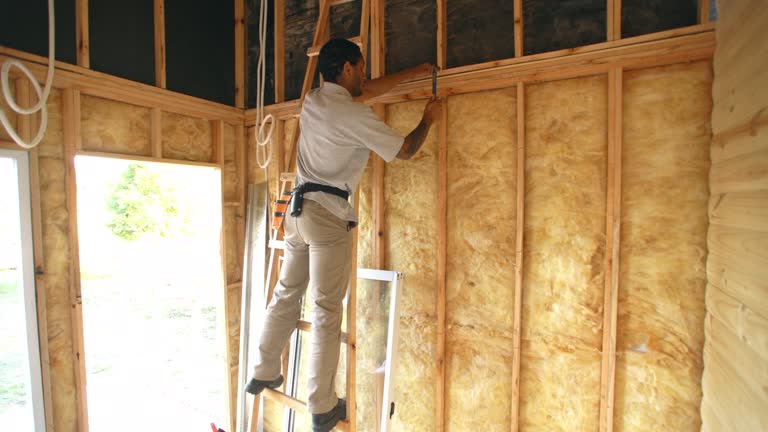 Best Insulation for New Construction  in Murfreesboro, NC